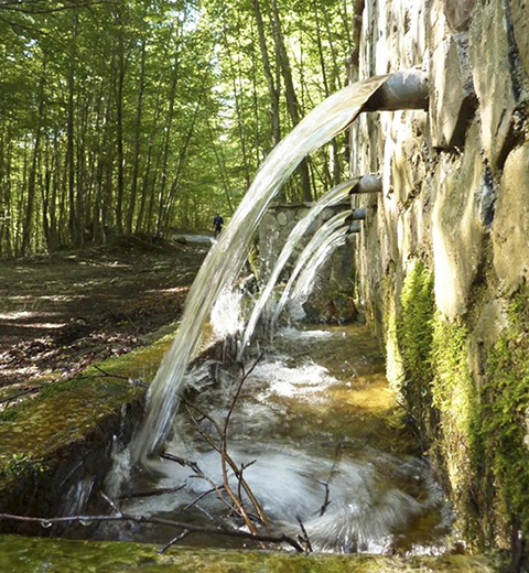 Escursione a cavallo nella Fagosa e Fontana del Principe