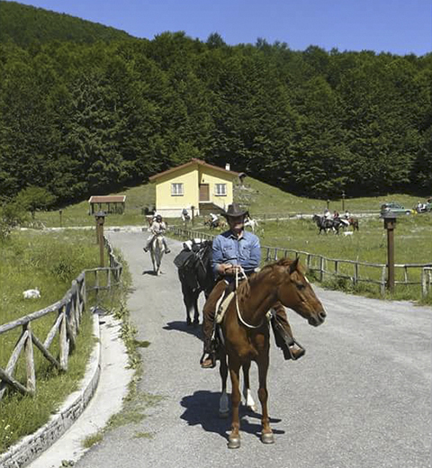 Escursione equestre ai Piani di Masistro e Novacco