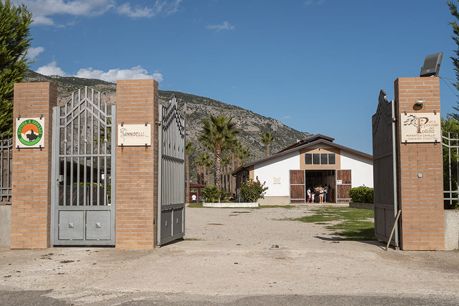 Centro Ippico Iannibelli Centro Ippico Iannibelli