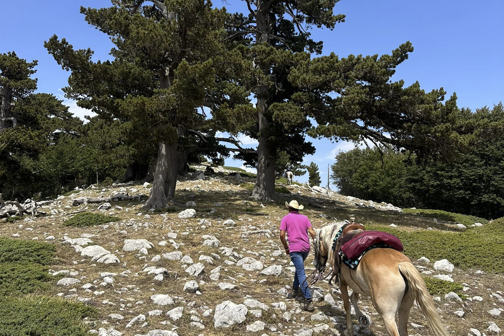 Passeggiate a cavallo nel Parco del Pollino