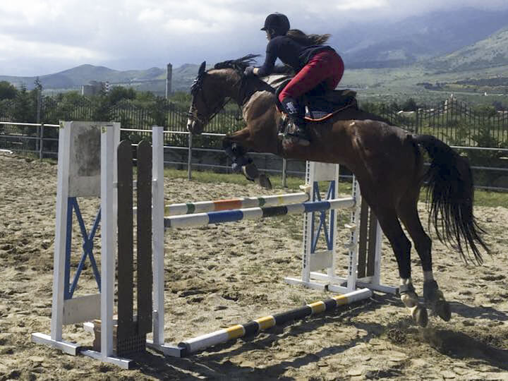 Discipline olimpiche equitazione | Salto ostacoli